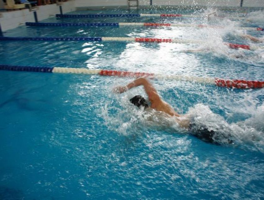 200 пловцов решили побороться за кубок чемпионата Логинова в Волжском