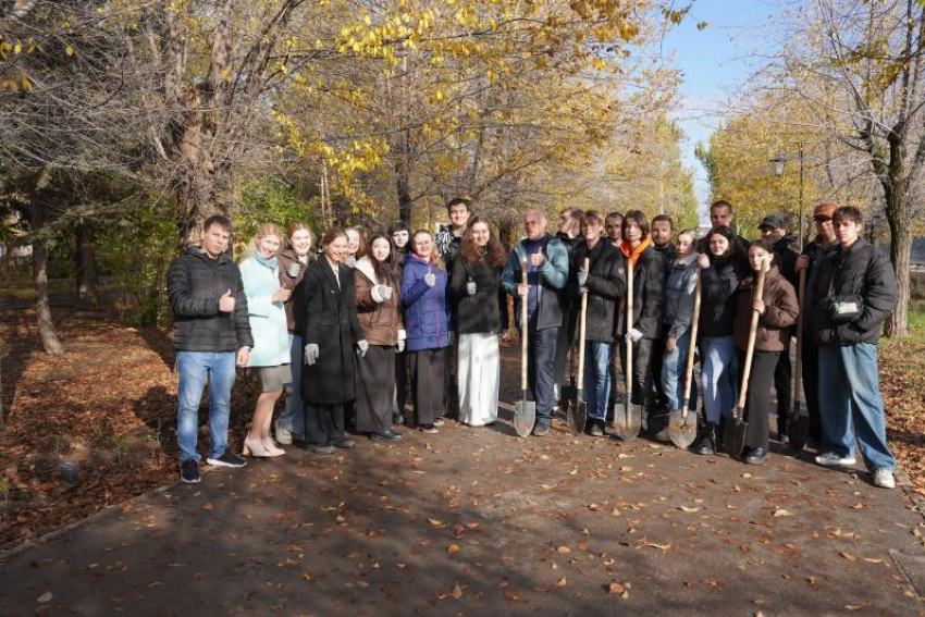 В Волжском в сквере имени Зои и Вадима Сапожниковых высадили 60 саженцев бирючины