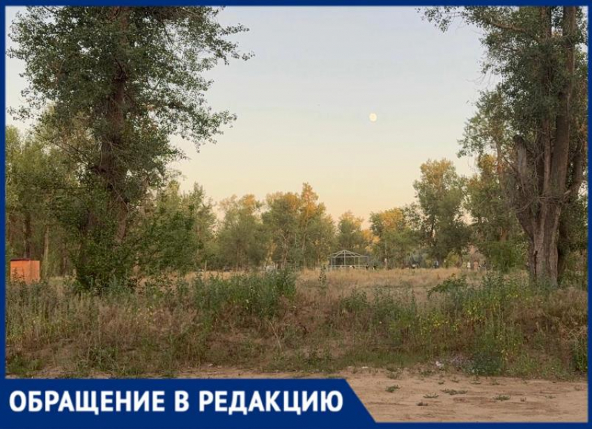 В Волжском территория у озера Круглое может «затонуть» в мусоре
