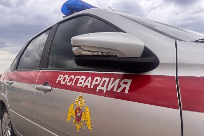 Ранее судимый за кражу мужчина попытался вынести товары из гипермаркета в Волжском