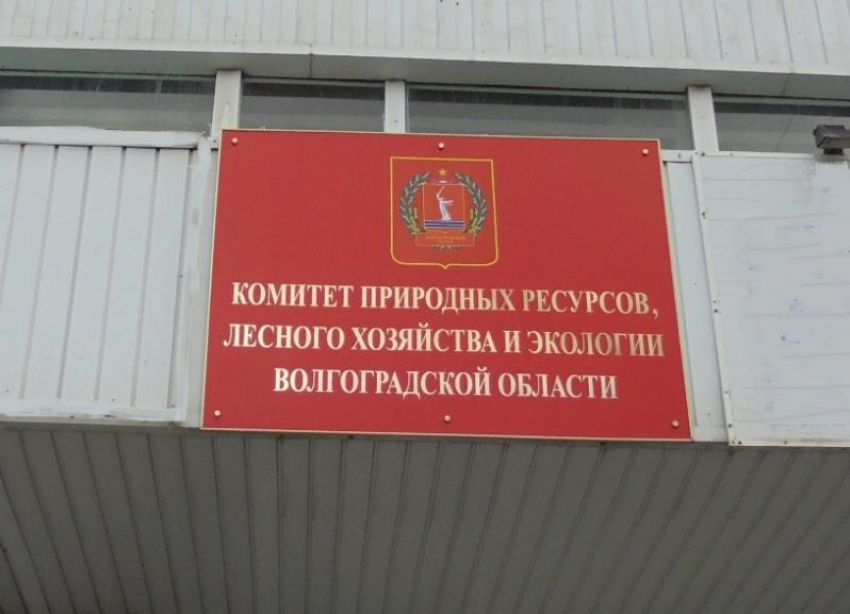 В облкомприроды сменили руководство: новые назначения в Волгоградской области