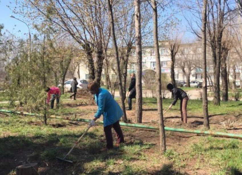 В Волжском завершился осенний месячник по благоустройству