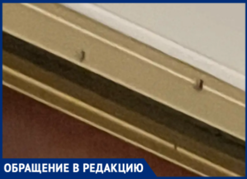 В Волжском жители дома вынуждены бежать из своих квартир из-за полчища комаров и равнодушия УК
