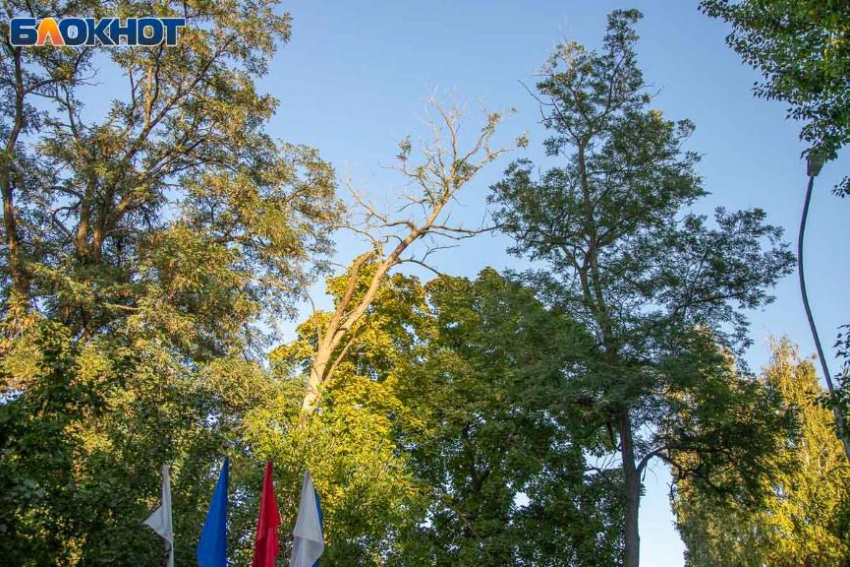 Кровавая луна, сватовство и гадание у зеркало: приметы на Корнилье 26 сентября