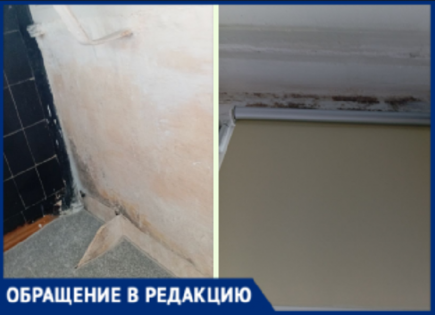 В Волжском пенсионерка 10 лет не может добиться сноса козырька, разрушающего ее квартиру