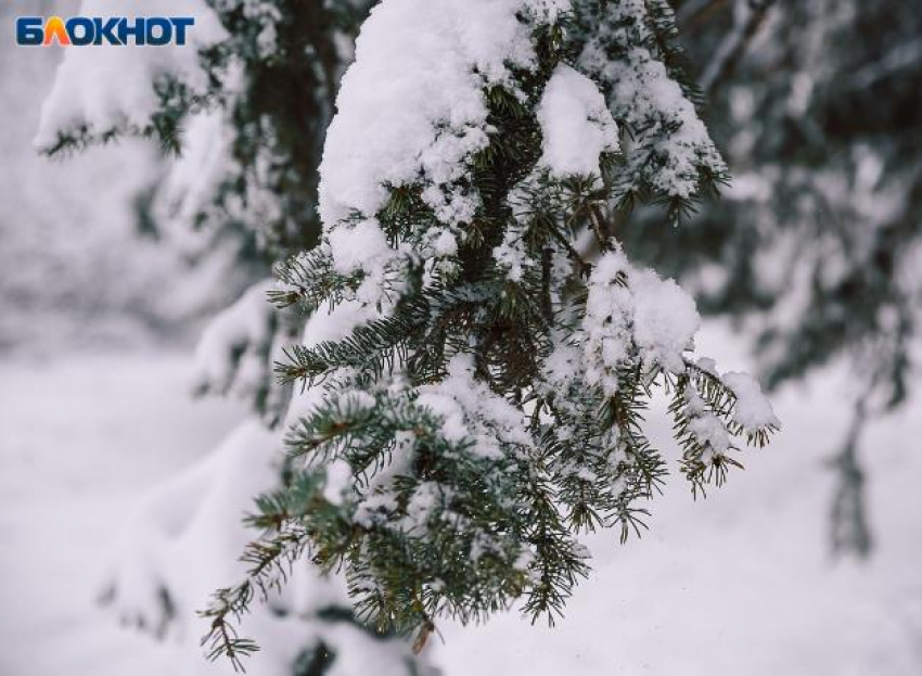 Переменная облачность и снег: погода в воскресенье