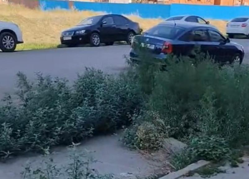 В Волжском признали незаконной парковку на зелёной зоне, за которую жителю выписали штраф в 5 тысяч рублей