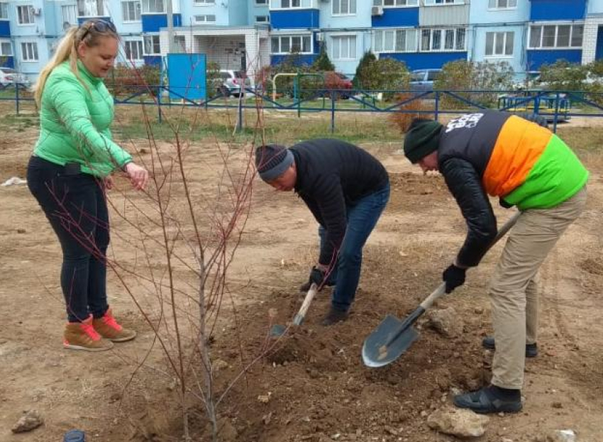 Администрация Волжского подвела итоги благоустройства в 2019 году