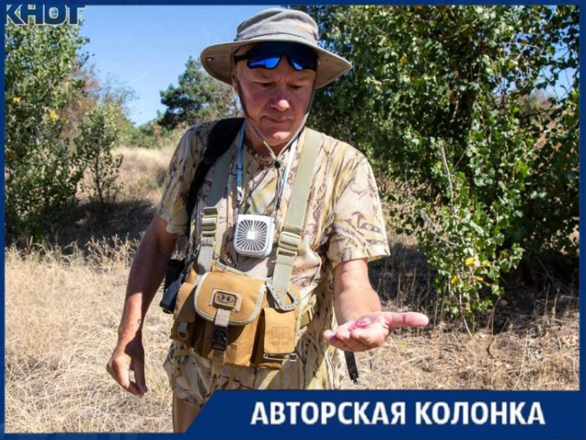 «Не трогайте их»: Феликс Ротавнин рассказал о кактусах в пойме