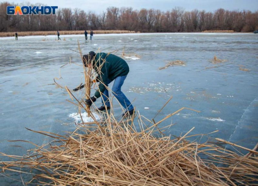 Научат родину любить: волжских педагогов приглашают поделиться опытом