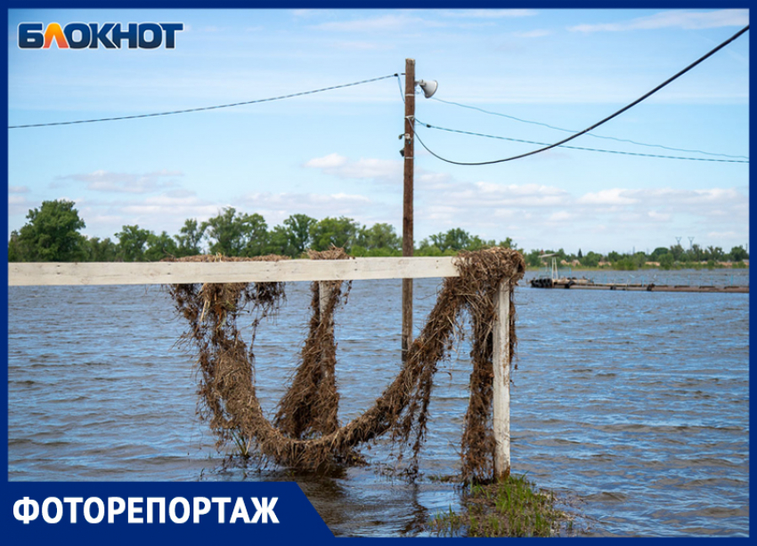 Волжские пляжи затопило во время разлива: фото