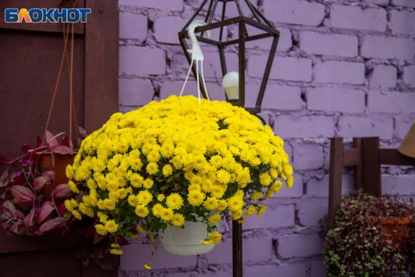 День Родиона Ледолома: приметы, обряды и запреты