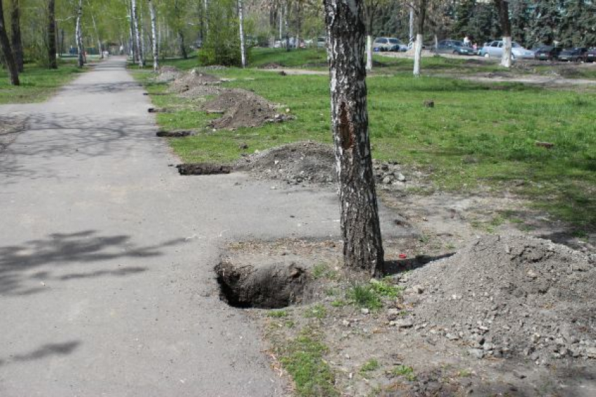 В Волжском бизнесмены заплатят за порчу растений 