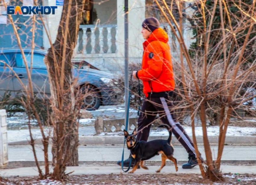 Погода все простит: в Прощенное воскресенье потеплеет