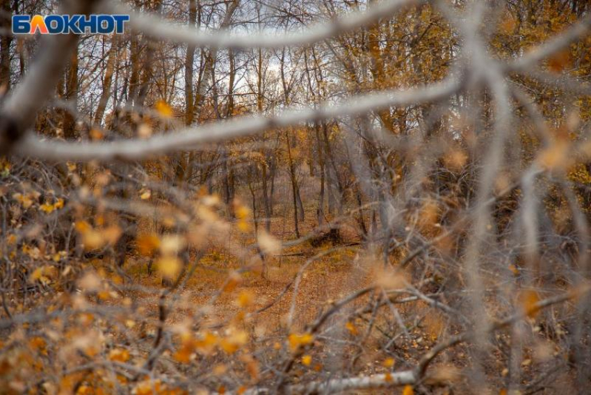В Волгоградской области нашли тело без вести пропавшего мужчины