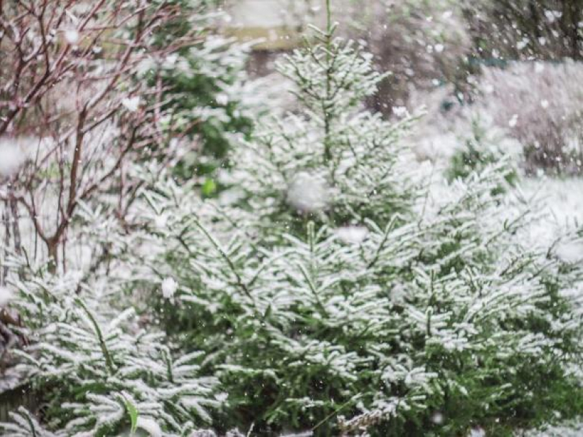 Четверг обещает потепление, но со снегом и дождем 