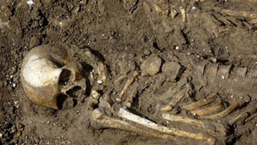 На предприятии под Волгоградом нашли человеческие останки