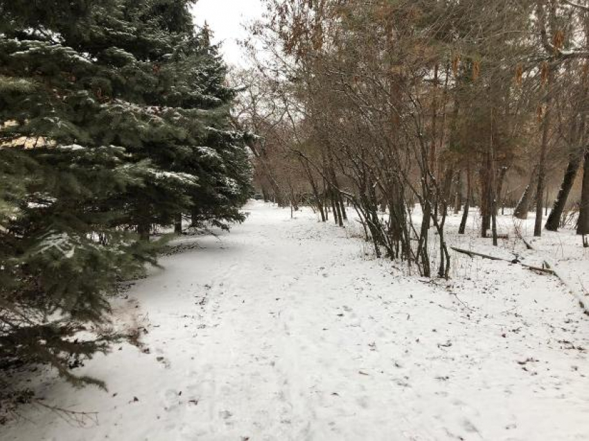 Нулевая температура в субботу располагает для прогулок