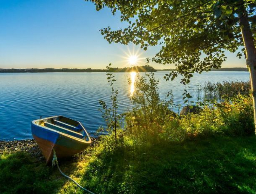 День мифического Василиска будет солнечным