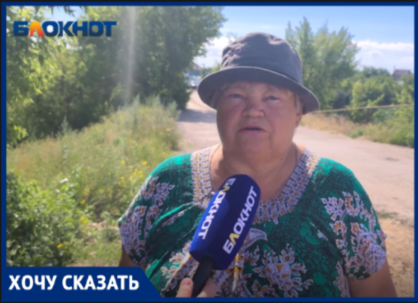 Волжские дачники обвинили правление СНТ в срыве собраний и фальсификации голосований
