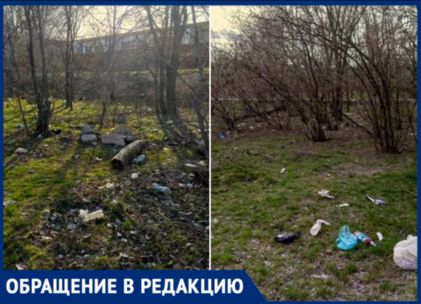 «Уверена, что так утопает весь город»: волжанка показала «кладбище мусора» в лесополосе у гаражей