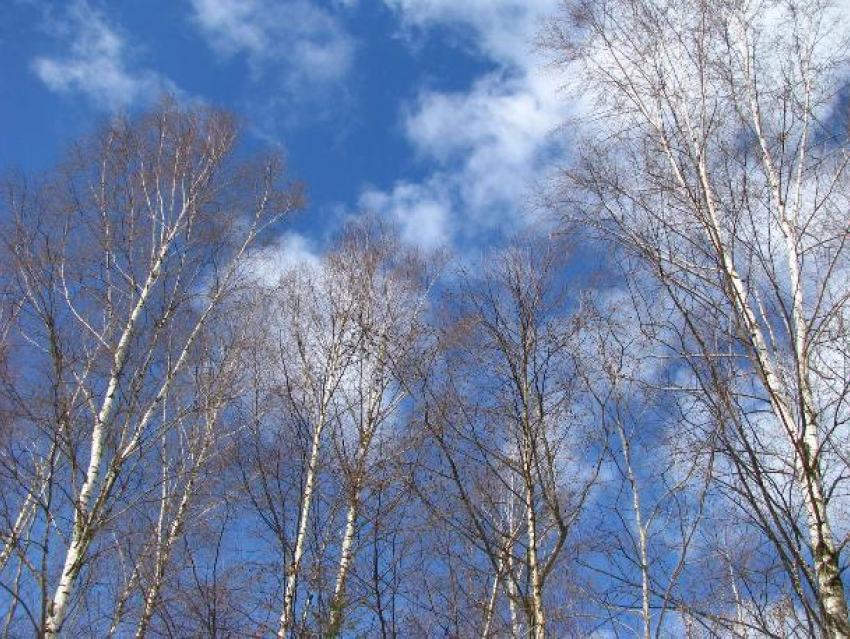 День внутренних войск МВД в Волжском будет солнечным