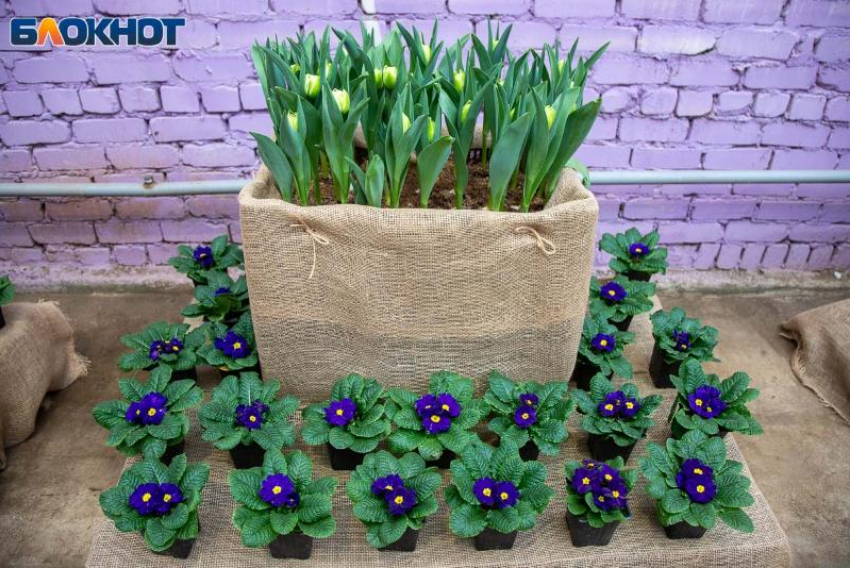 День потребует холодной головы и ясного взгляда: гороскоп на 28 февраля