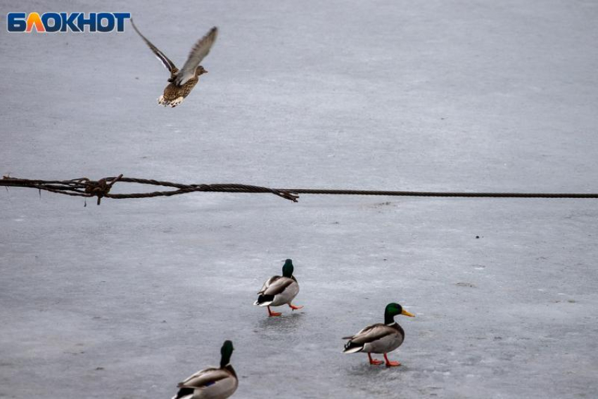 В Волжском немного потеплеет