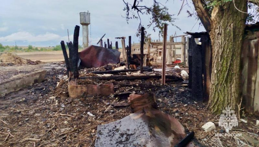 Два теленка погибли в огне из-за неисправной лампочки в волгоградской станице 