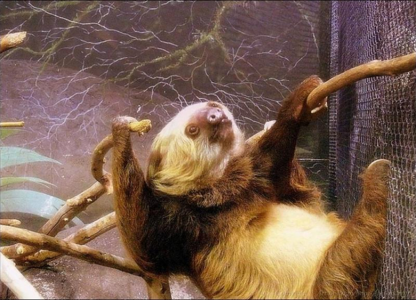 В пасмурную субботу волжанам можно лениться и никуда не спешить