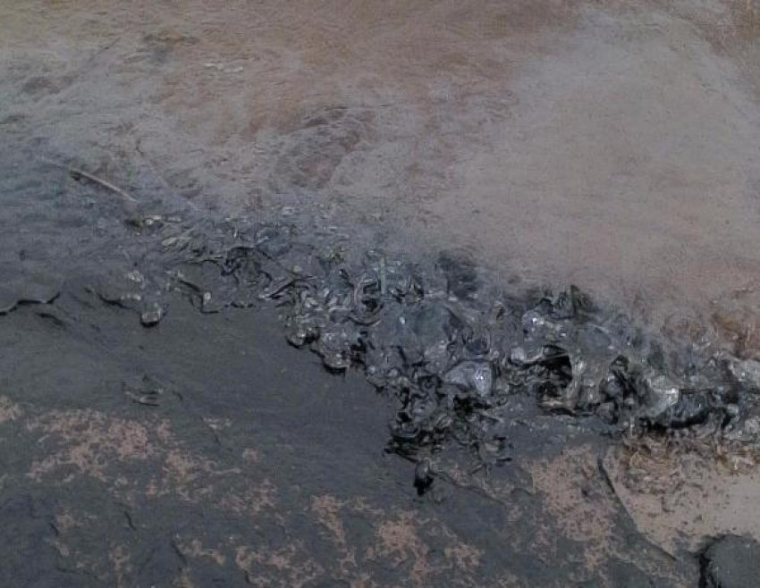 Жителям Волжского не угрожает разлив нефти в Светлом Яре