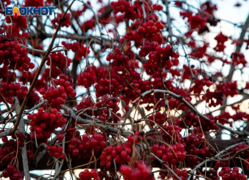 Сильным ветром встретит суббота волжан: прогноз погоды