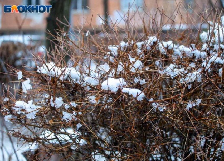 Заморозки до -6 прогнозируют синоптики в Волгоградской области