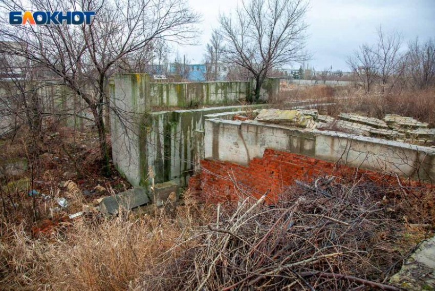 Нападения собак и соль за 460 рублей: ТОП-5 новостей в Волжском