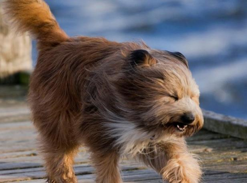 Лето-2018 начало: волжан расстроит сильный ветер