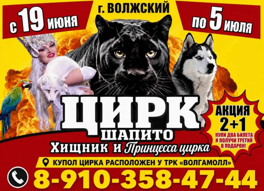Билеты в цирк по акции 2+1