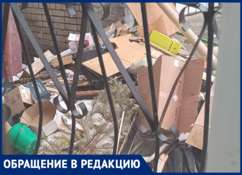 «Тараканы пешком ходят»: под окнами дома в Волжском растет гора мусора