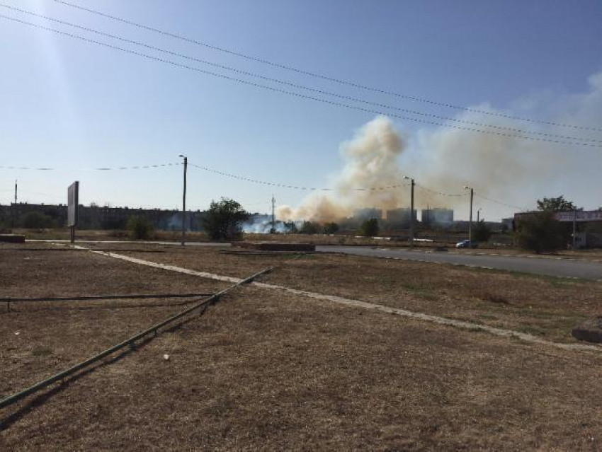 Сухая трава вспыхнула в Волжском напротив завода «Кока-колы"