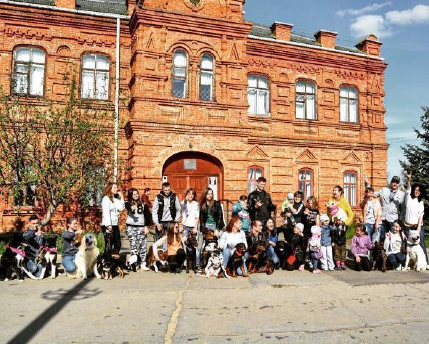 Волжан приглашают принять участие в благотворительной фото-акции «Собака - друг человека!"