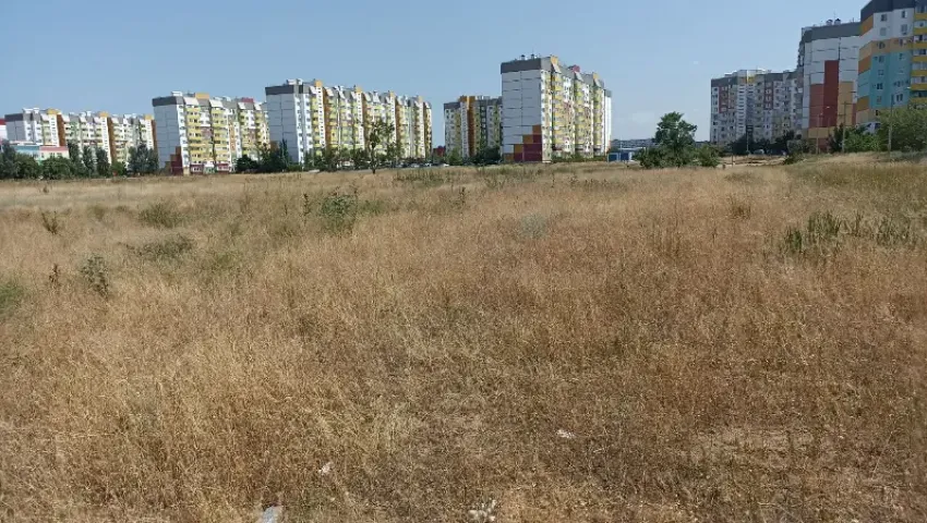 «Камыш выше человеческого роста»: жители 28-го микрорайона в Волжском пожаловались на заросший пустырь