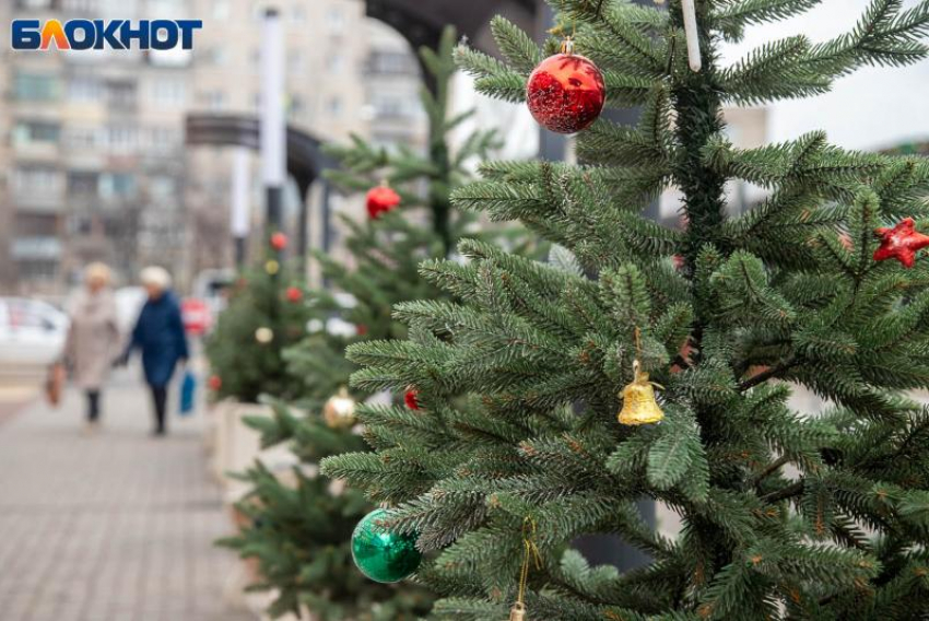 Огненная лошадь на пороге: как встретить Новый год, чтобы привлечь удачу и гармонию