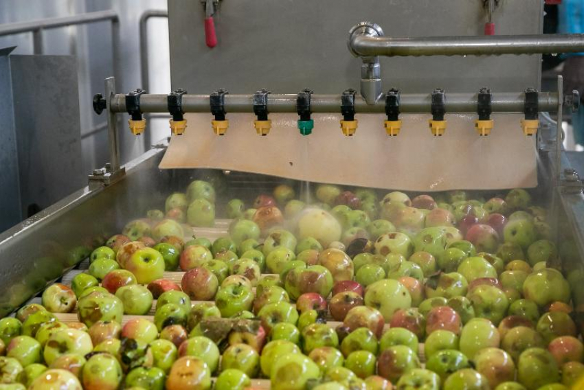 Рекордный урожай собрали в Волгоградской области в 2025 году