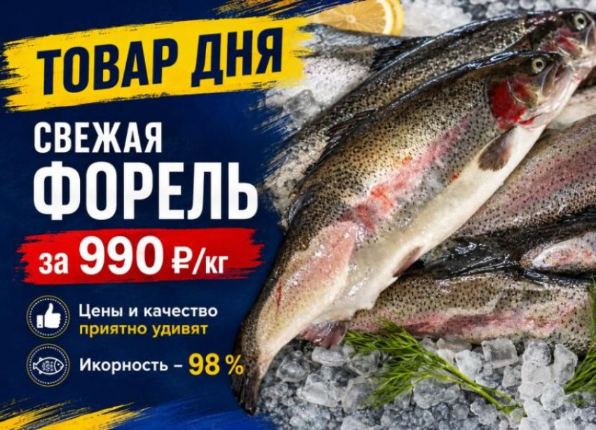 Товар дня. Свежая форель за 990 ₽/кг