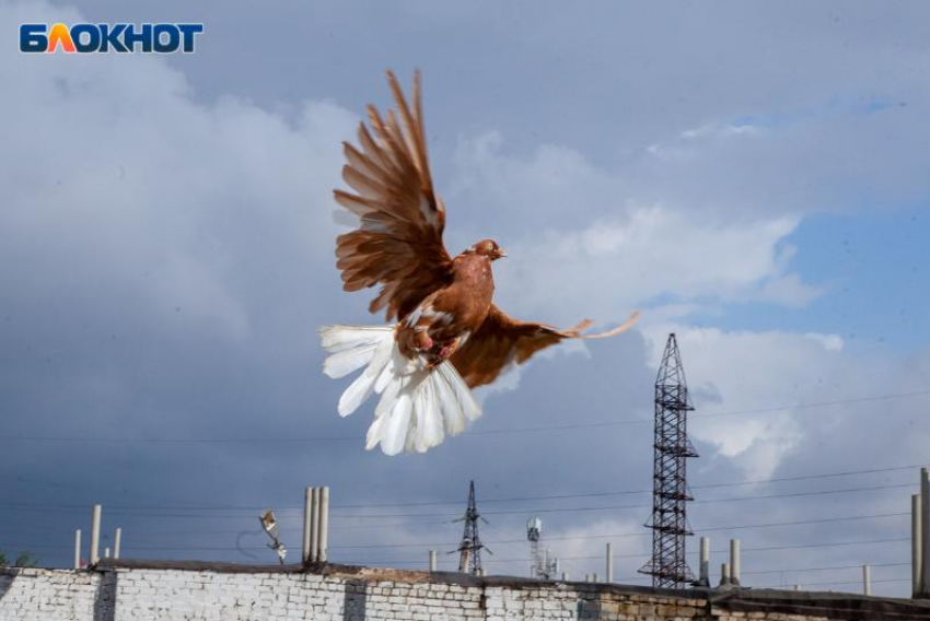 Сильный ветер и магнитная буря в 4 балла ждет волжан во вторник: прогноз погоды