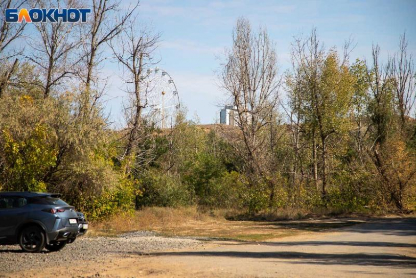 Финансирование охраны лесов в Волгоградской области увеличат почти на треть