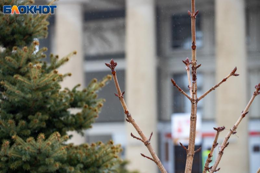 Прогноз погоды в Волжском в первый день зимы