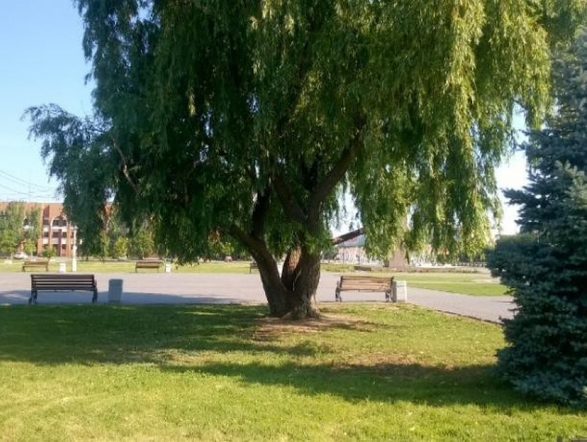 В день караванщика над Волжским будет облачное небо