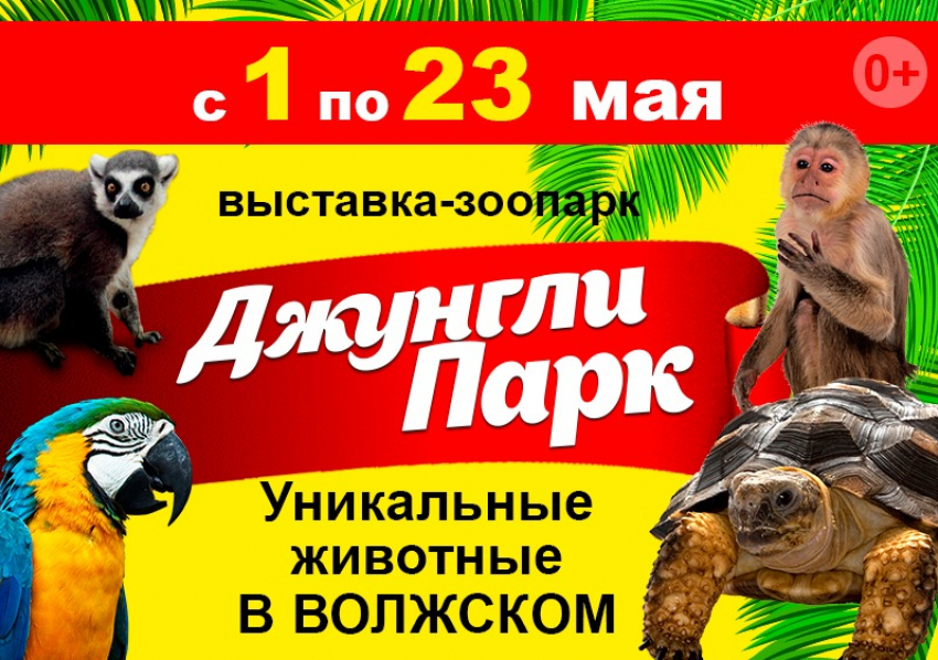 Жаркие тропики с 1 мая в Волжском: успейте посетить выставку-зоопарк «Джунгли Парк»