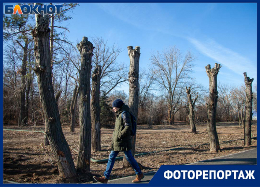 «Обрезание» в Волжском прошло успешно