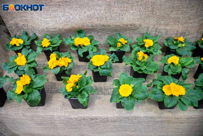 День подталкивает к активным шагам: гороскоп на 1 марта